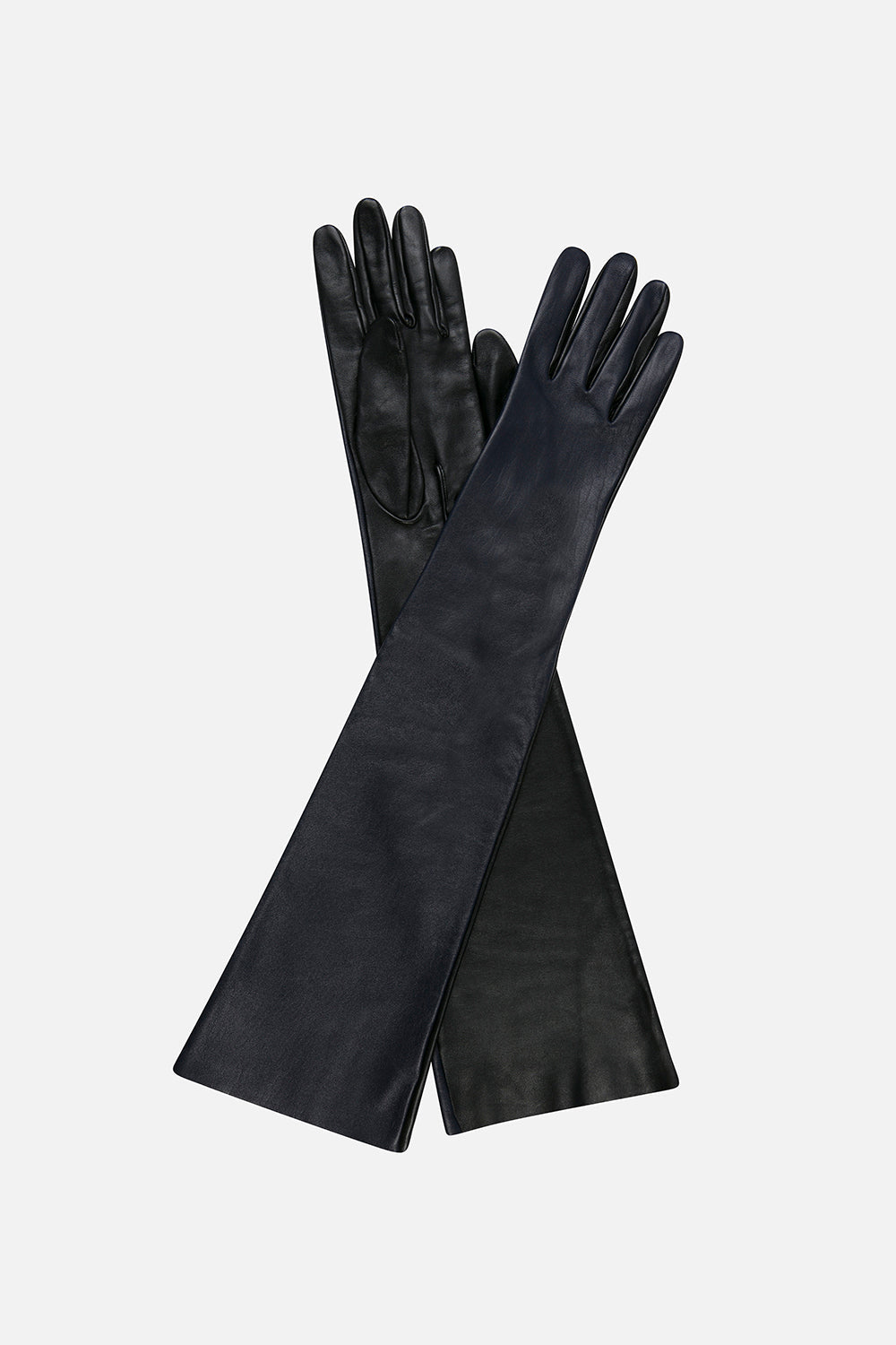 Sloane Two-Tone Buttoned Leather Gloves in Navy Blue