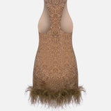 Ilia Silk Sequin Mini Dress with Feather Trim in Brown Sequin